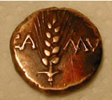 Cunobelinus Corn Coin