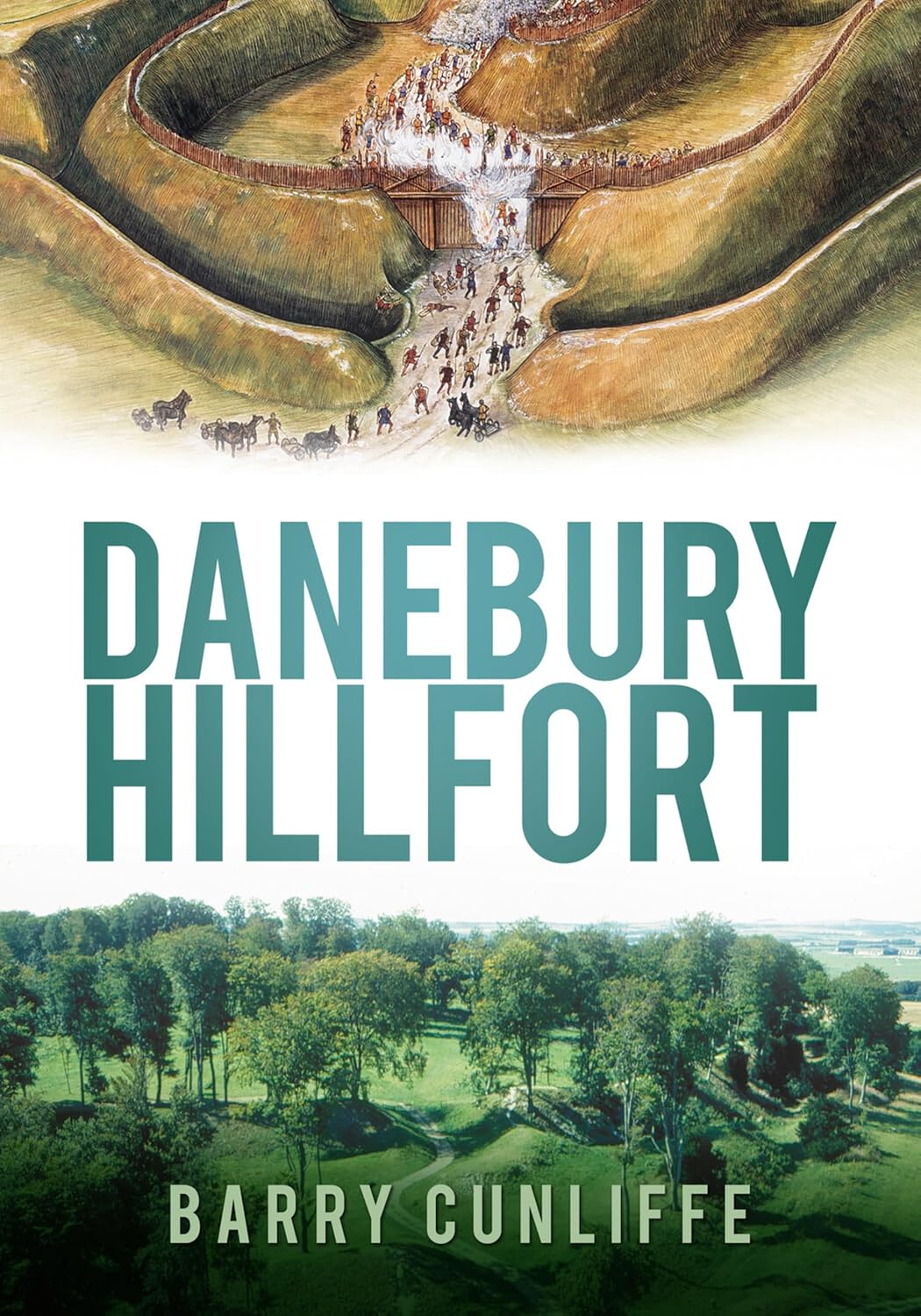 Danebury Hillfort by Barry Cunliffe book cover