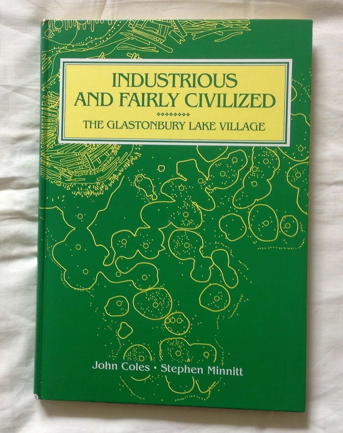 Industrious and Fairly Civilized: The Glastonbury Lake Village book cover