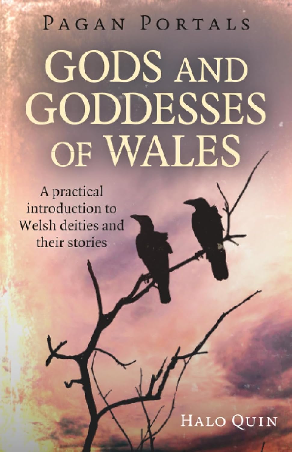 Pagan Portals – Gods and Goddesses of Wales: A Practical Introduction to Welsh Deities and Their Stories book cover