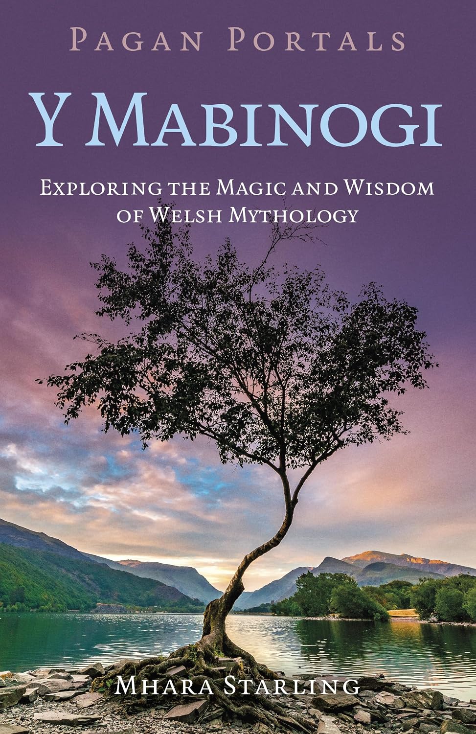 Pagan Portals: Y Mabinogi book cover