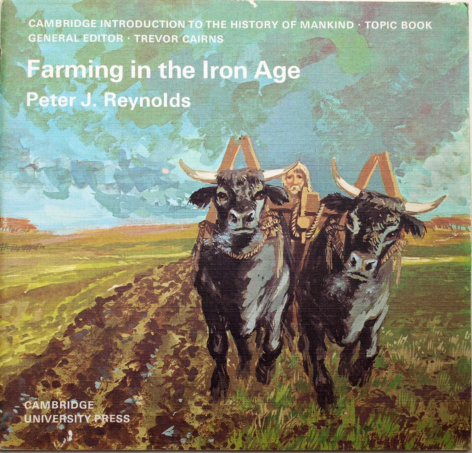 Farming in the Iron Age book cover